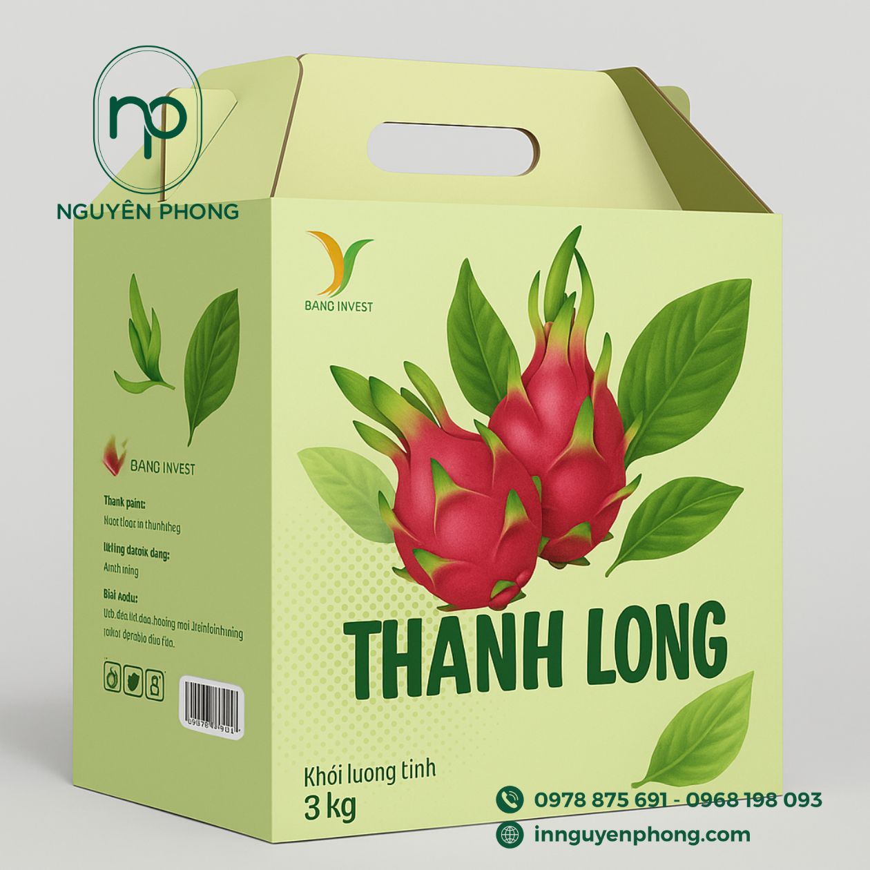Mẫu thùng carton đựng thanh long